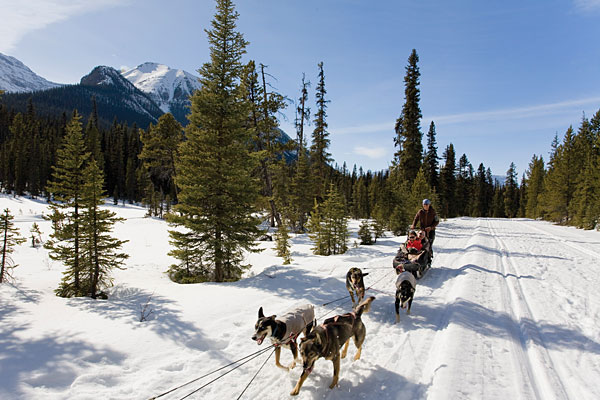 Trial Prescription Program Alberta